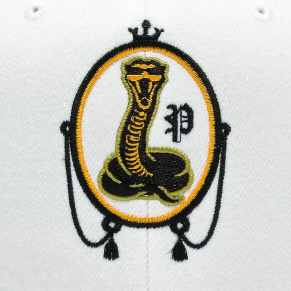 Foos Gone Wild hat White Snapback New With Tags - Picture 4 of 6